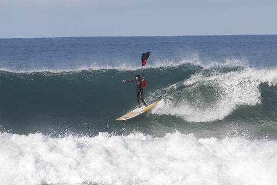 TomAveryIndig12sr 20154w