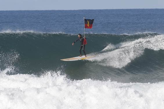 TomAveryIndig12sr 20153w