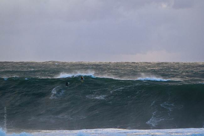 mfsprout 20120606 143