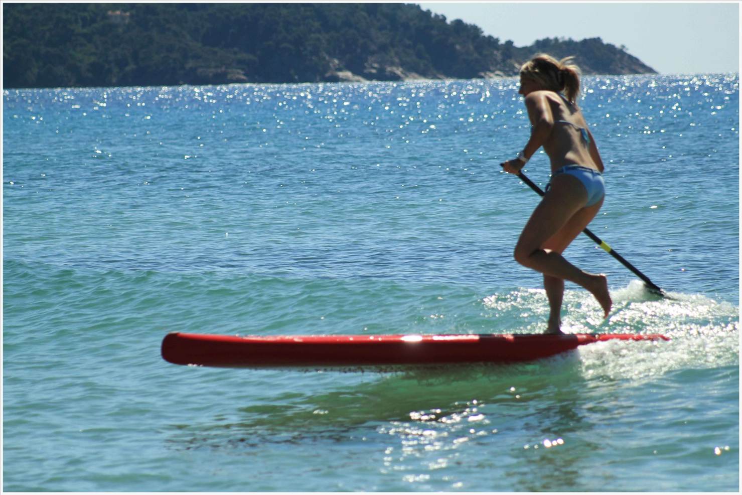 472958 3663193571494 119367862 o