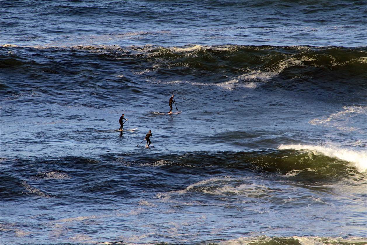 290093 10151770333168797 1784147901 o