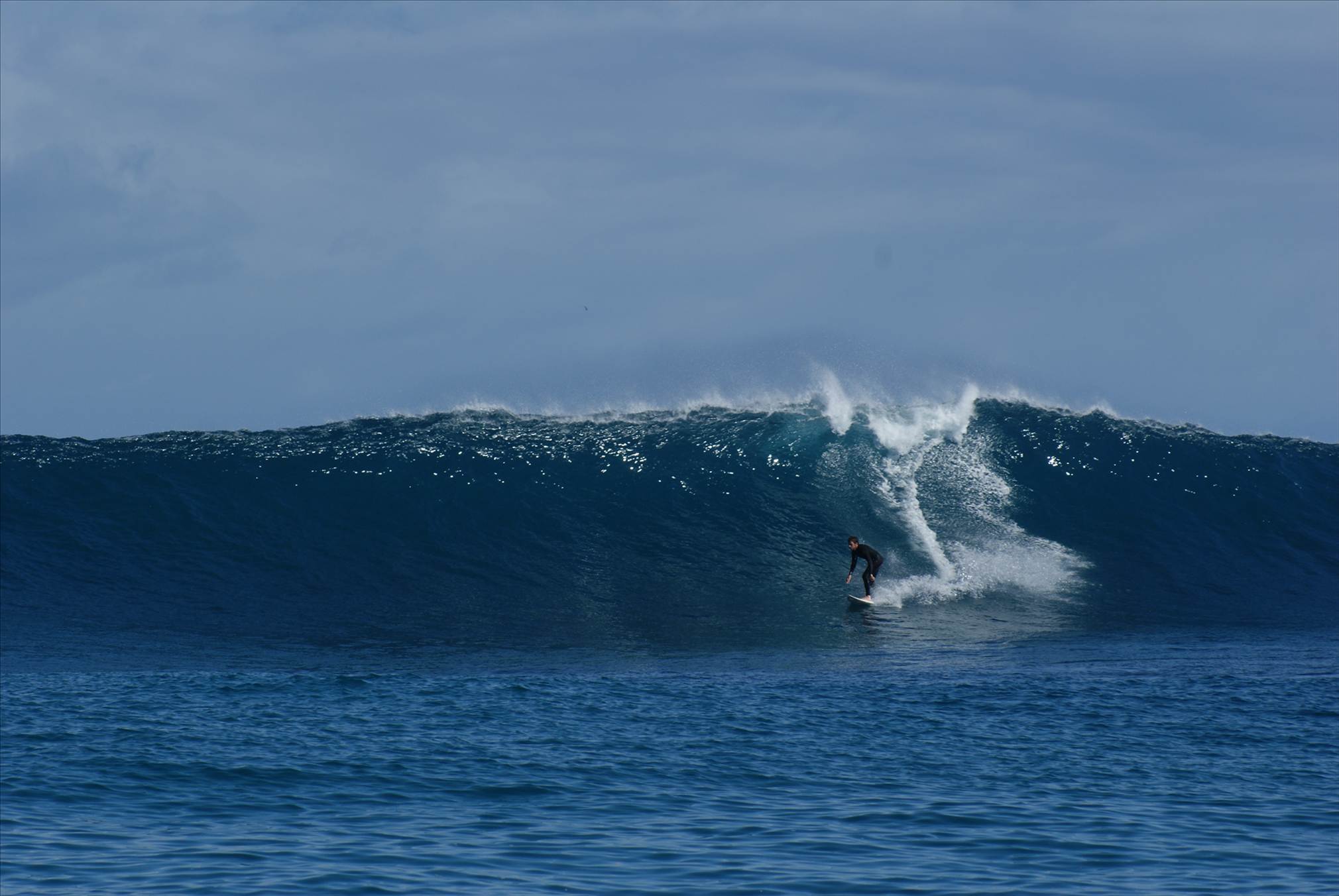 LAZA and LANGA Sup it  young guns towed in