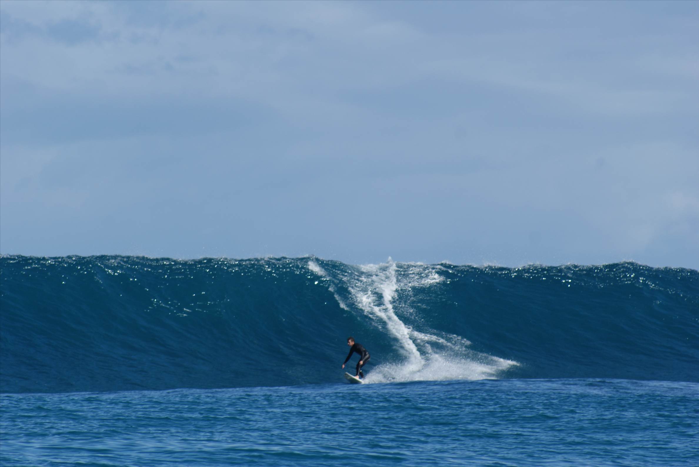 LAZA LANGA  6 to 8 foot