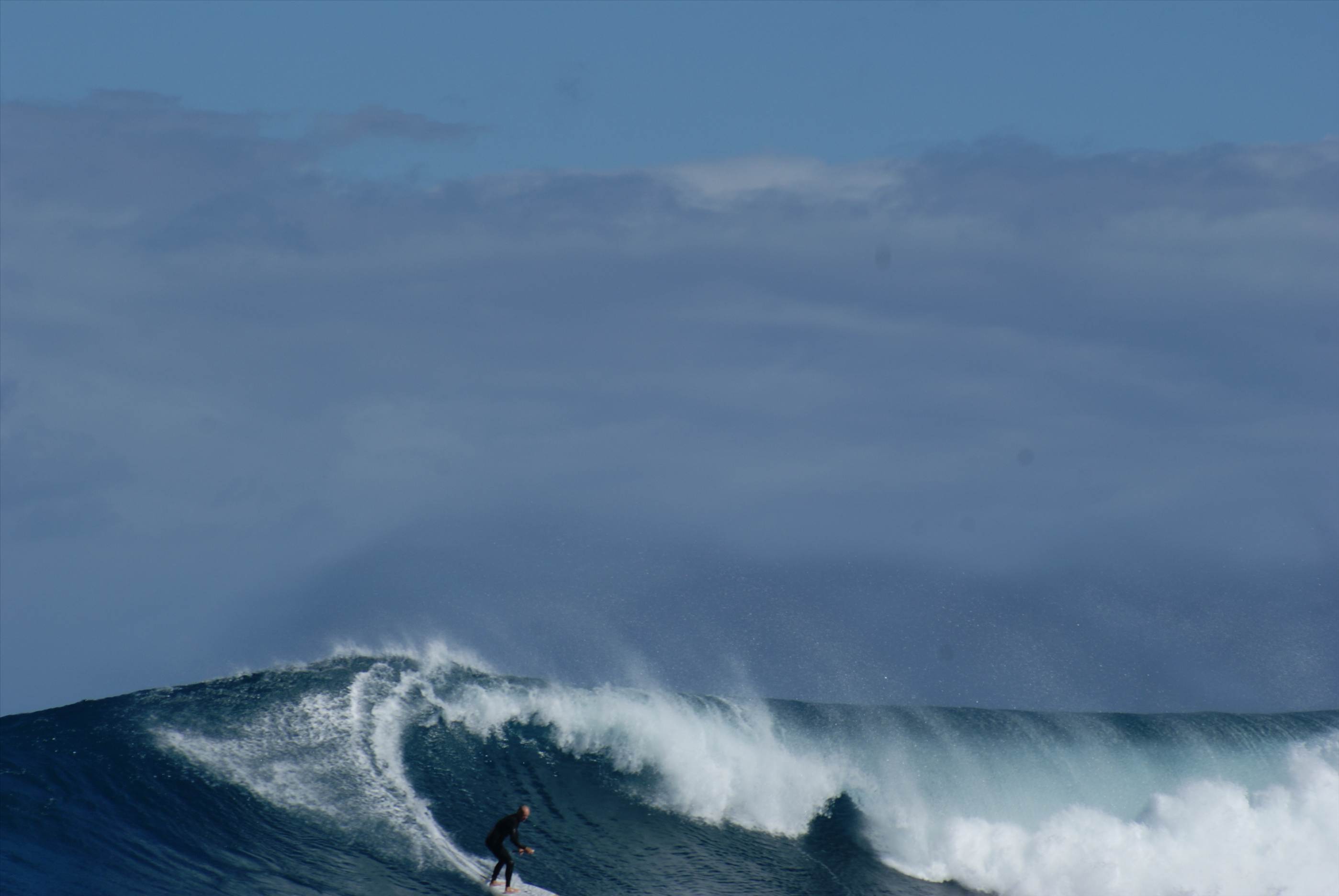 LAZA LANGA  6 to 8 foot