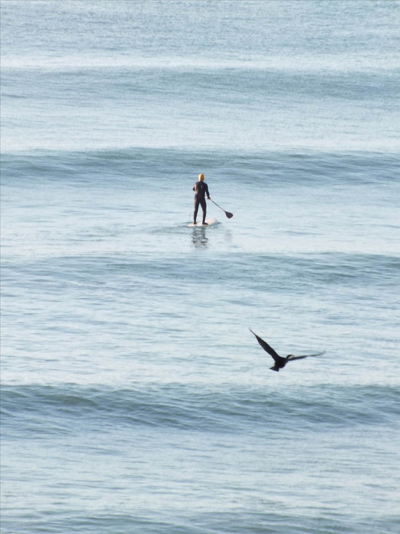 Mako 15 Sept 2012 (30)