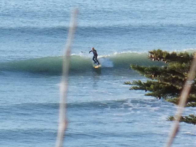 Mako 15 Sept 2012 (41)