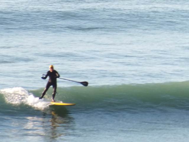 Mako 15 Sept 2012 (36)