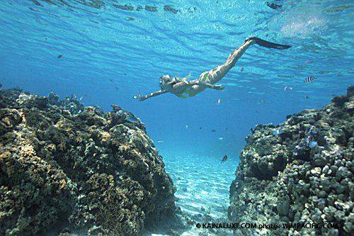 269036 10100259737705442 4836925 n