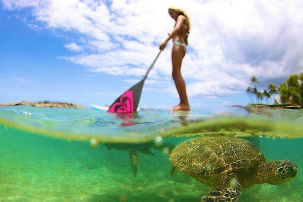 556696 319783678130351 34663100 n