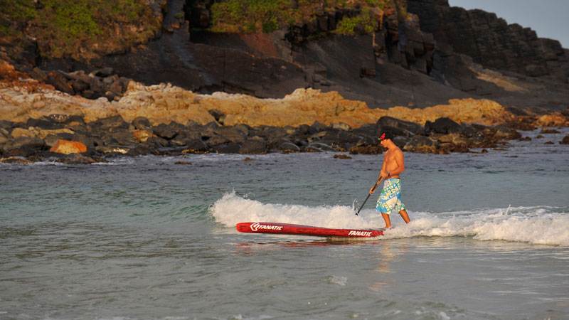 Fanatic Falcon can be surfed