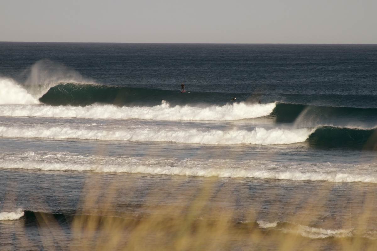 Heaving 6 TO 8 FOOT Langy