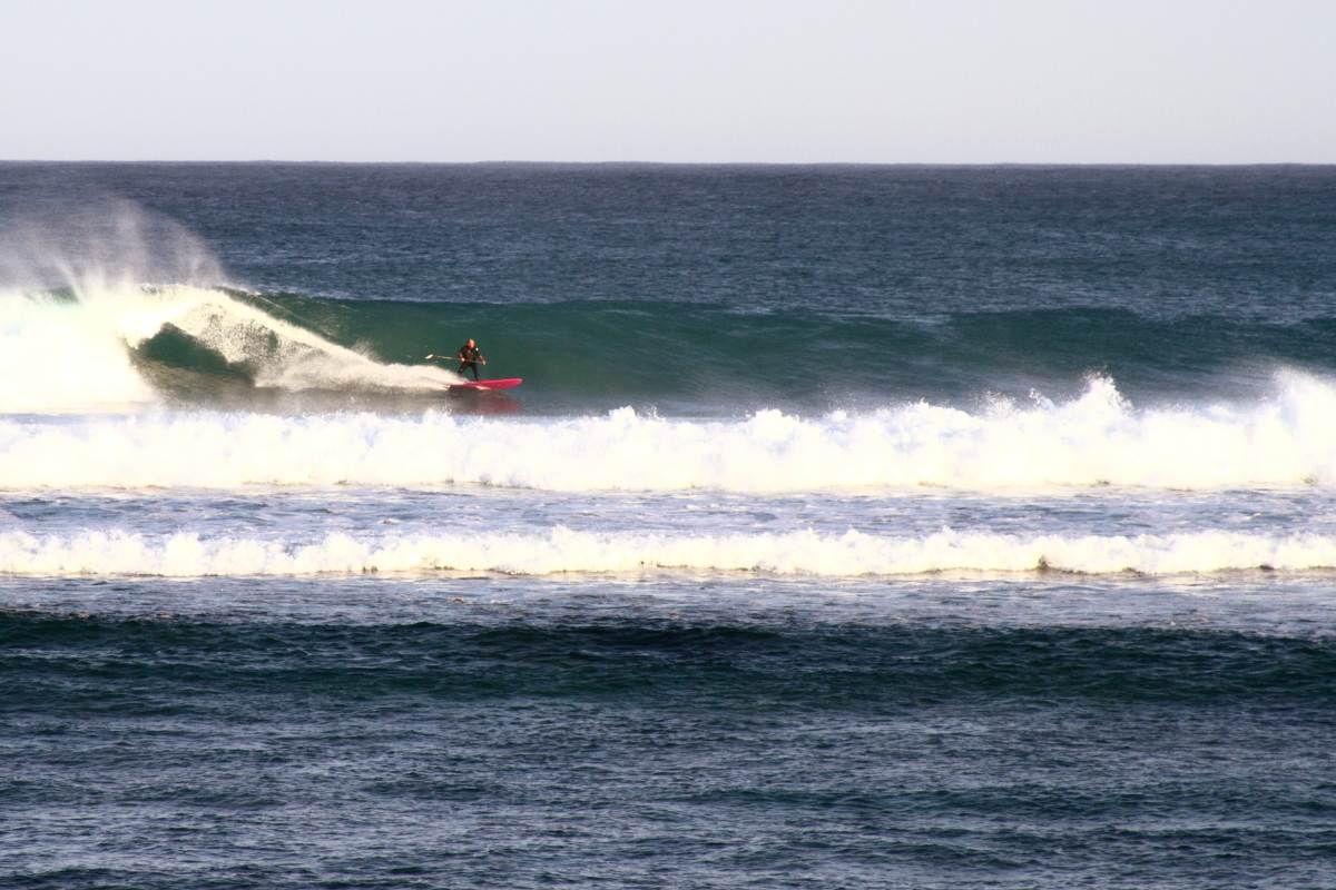 Heaving 6 TO 8 FOOT Langa