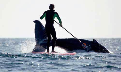 18243 10151421002924518 1233420944 n