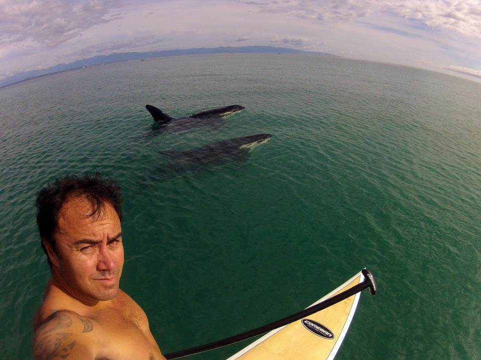 Shane SUPing with orcas