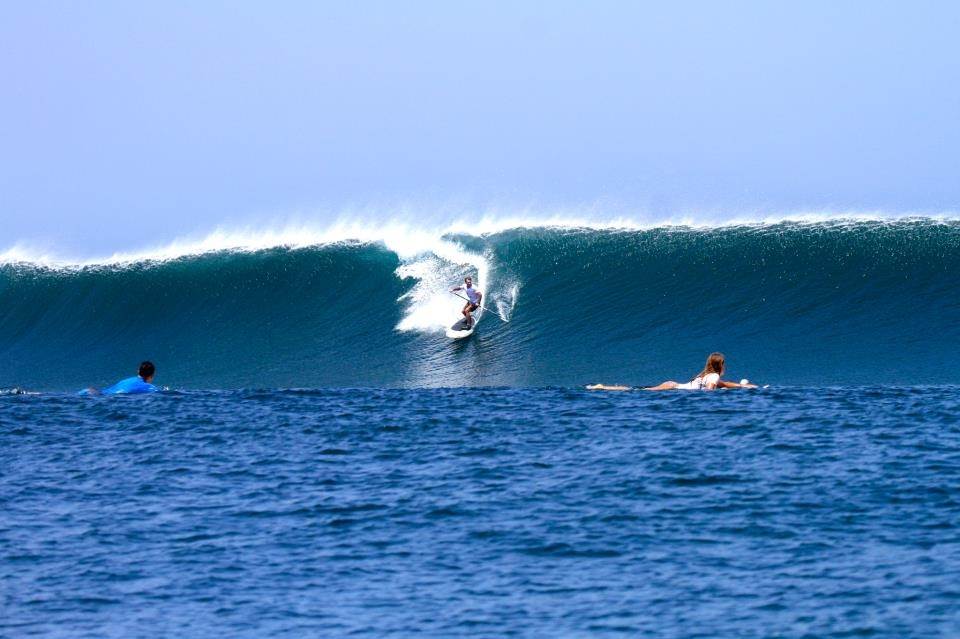 A few photos from last years indo trip