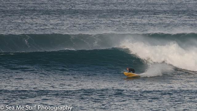 Courtney-Skrek-Bombie