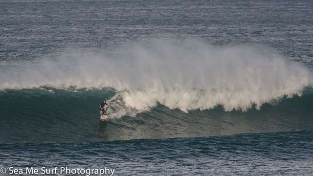 Chris-Clarke-Shrek-Bombie