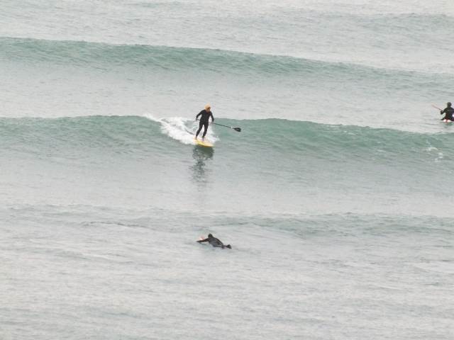 arboretum 083 (640x480)