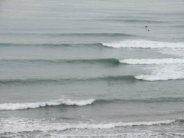 arboretum 121 (640x480) (2)