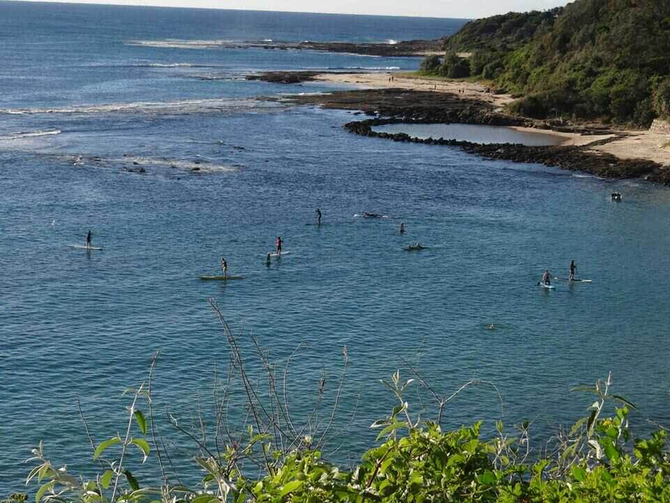 sth oz trip 2 cabbage tree bay demo 2