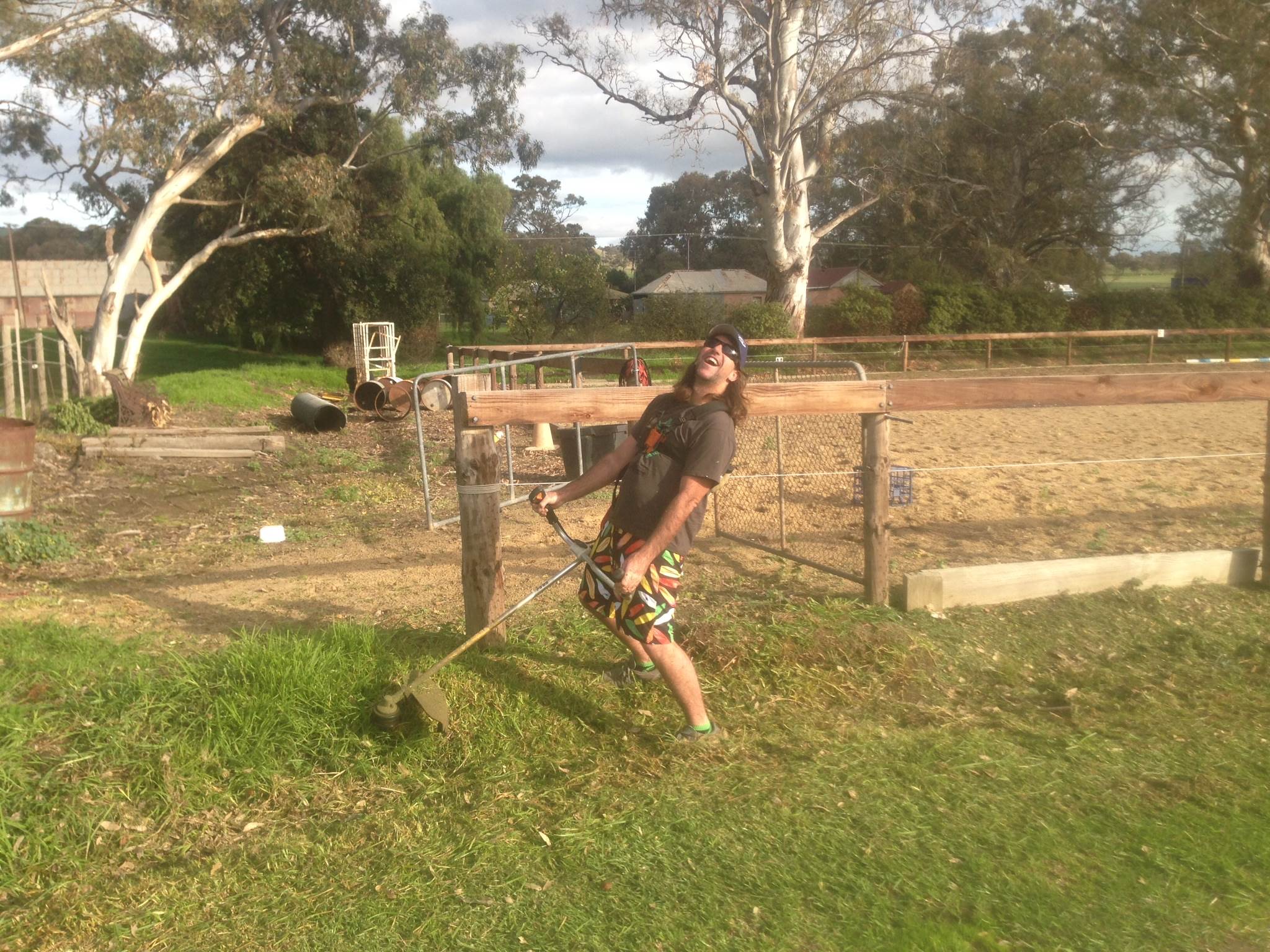 sth oz trip 11 working dog