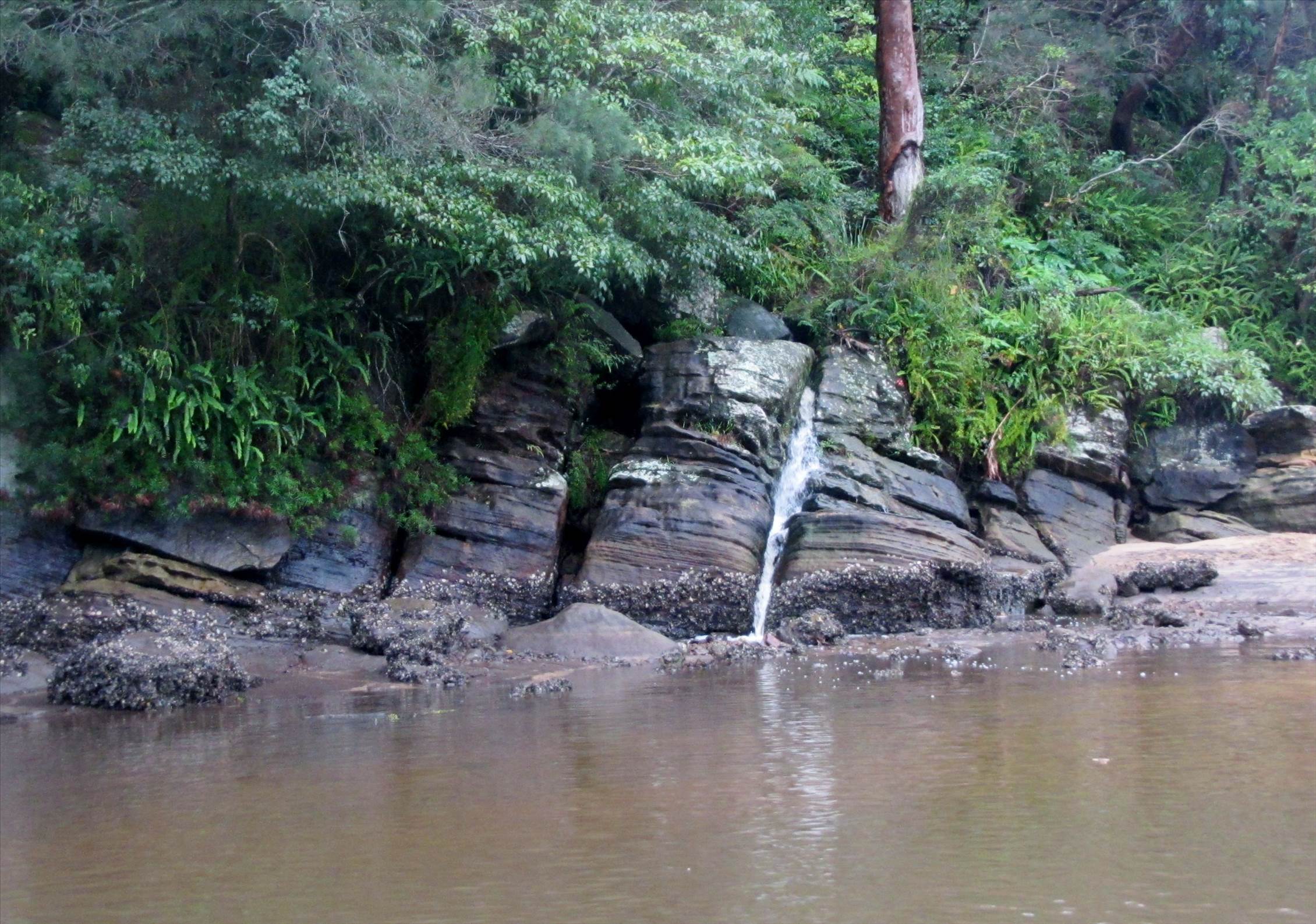 Grays Point paddle 1