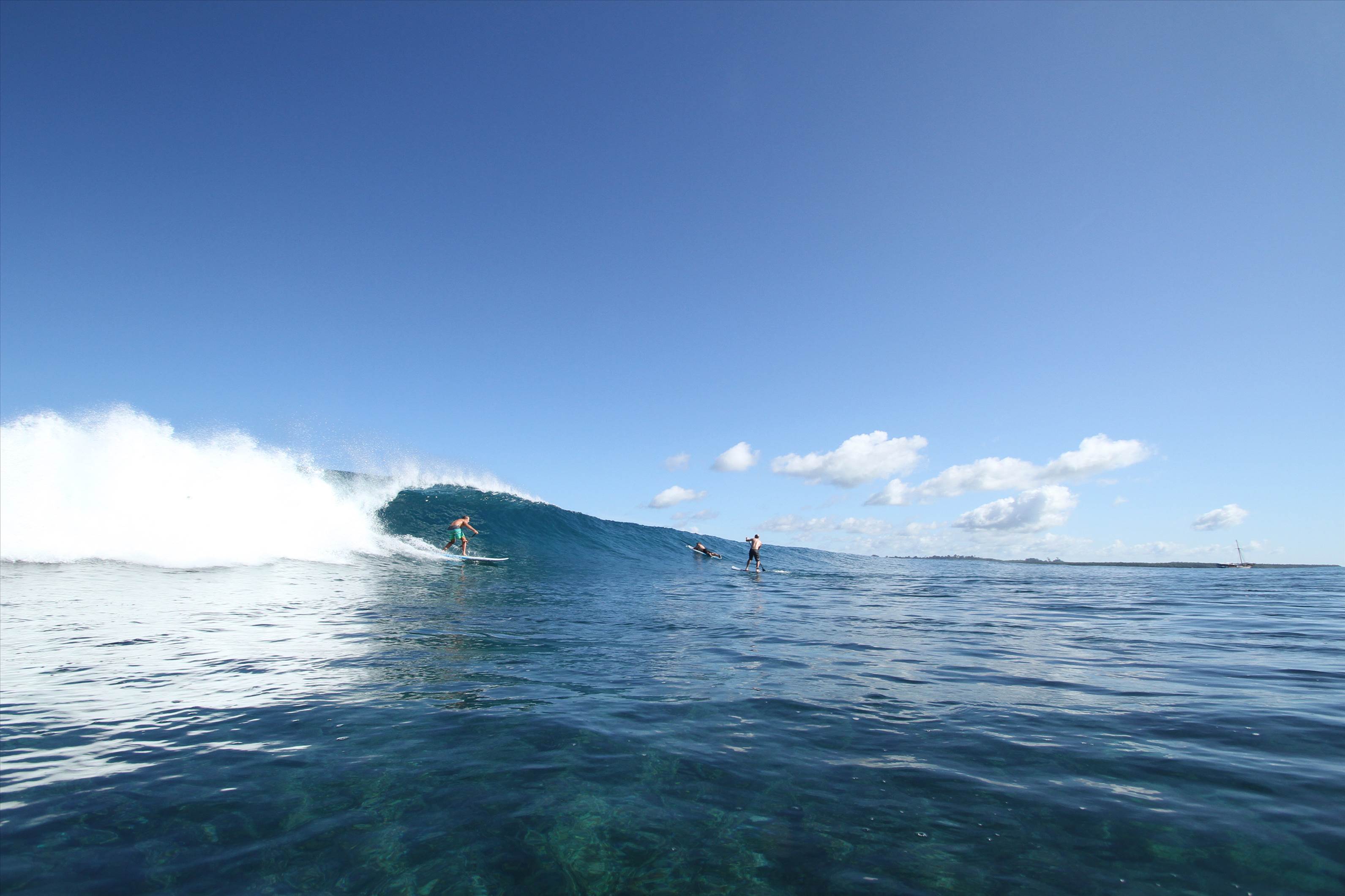 More shots from Addiction 2013