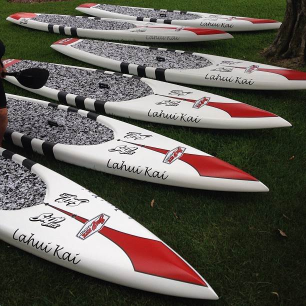 1235026 10151870656795513 1872259786 n