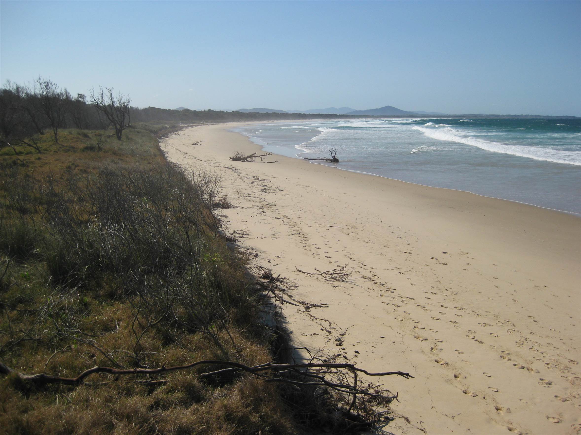 Scotts Head signs 019