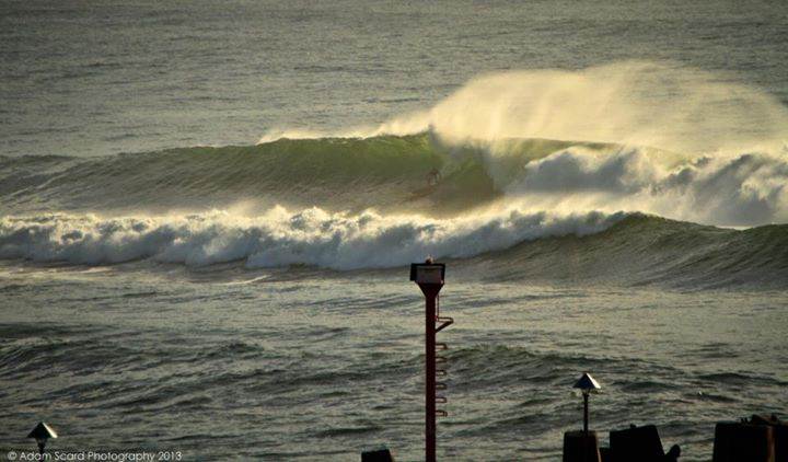 540638 10151428345427865 1476404477 n