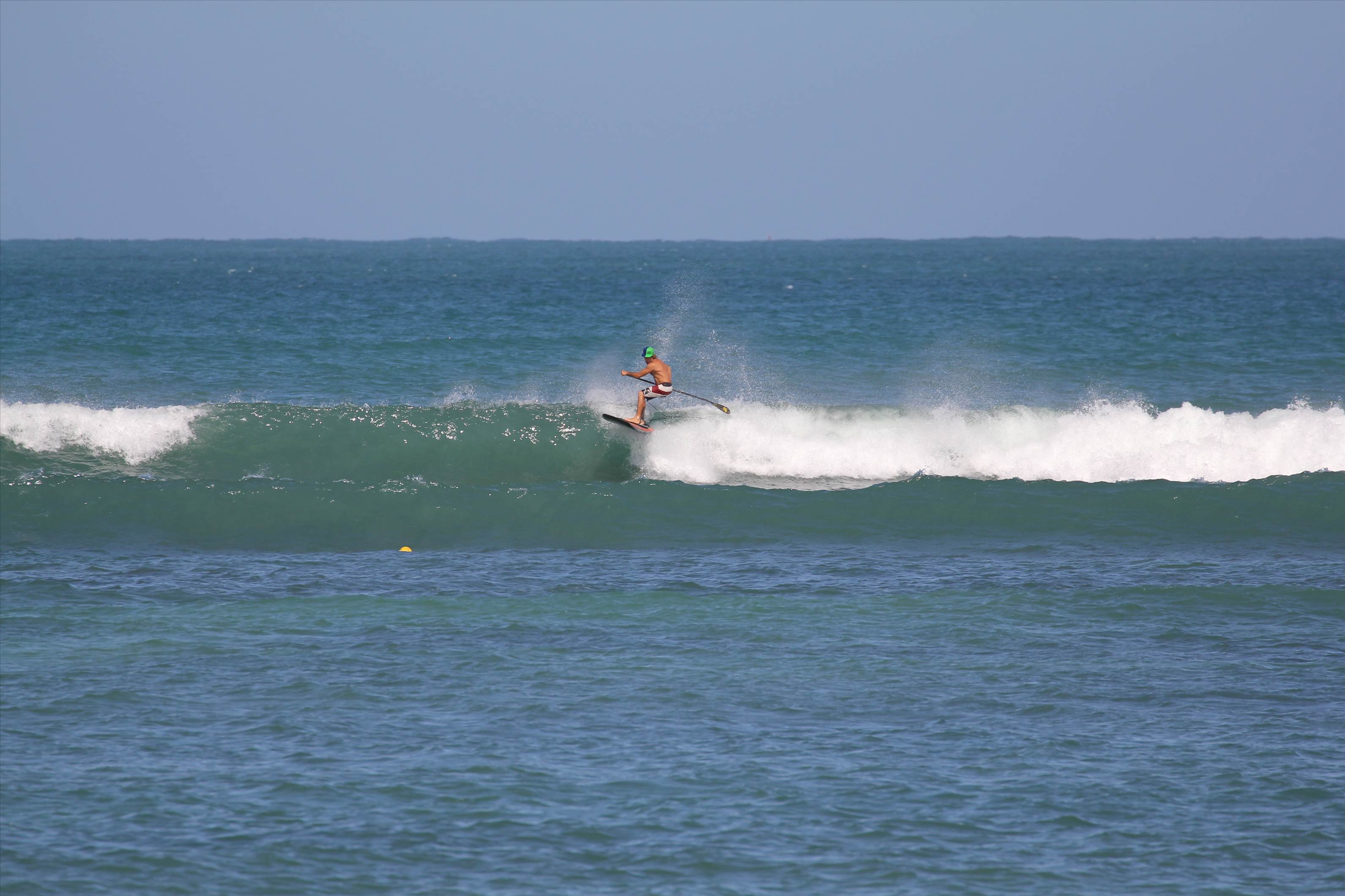 Radical rasta radman   CoopersPale ale please