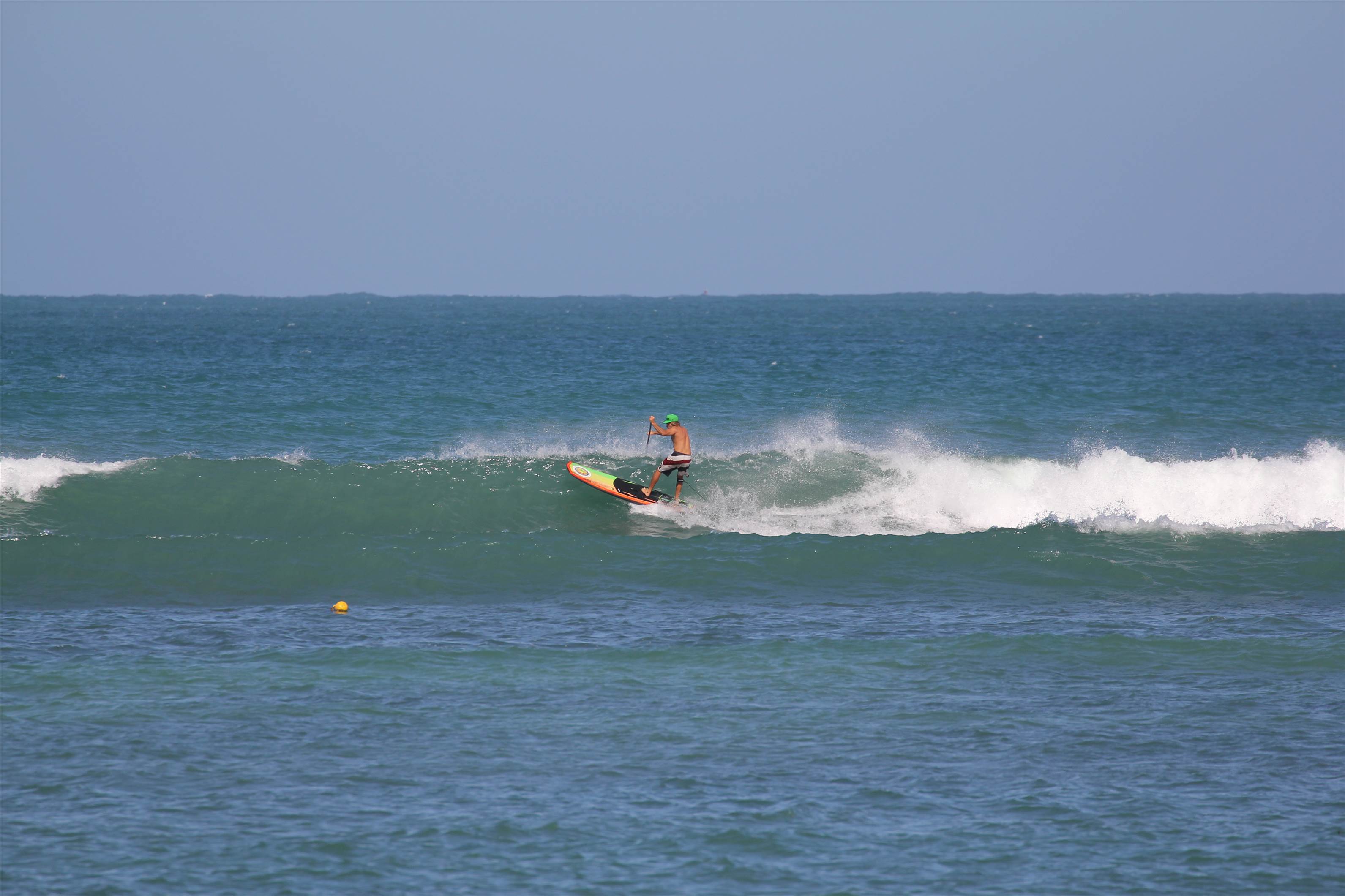 Radical rasta radman   CoopersPale ale please