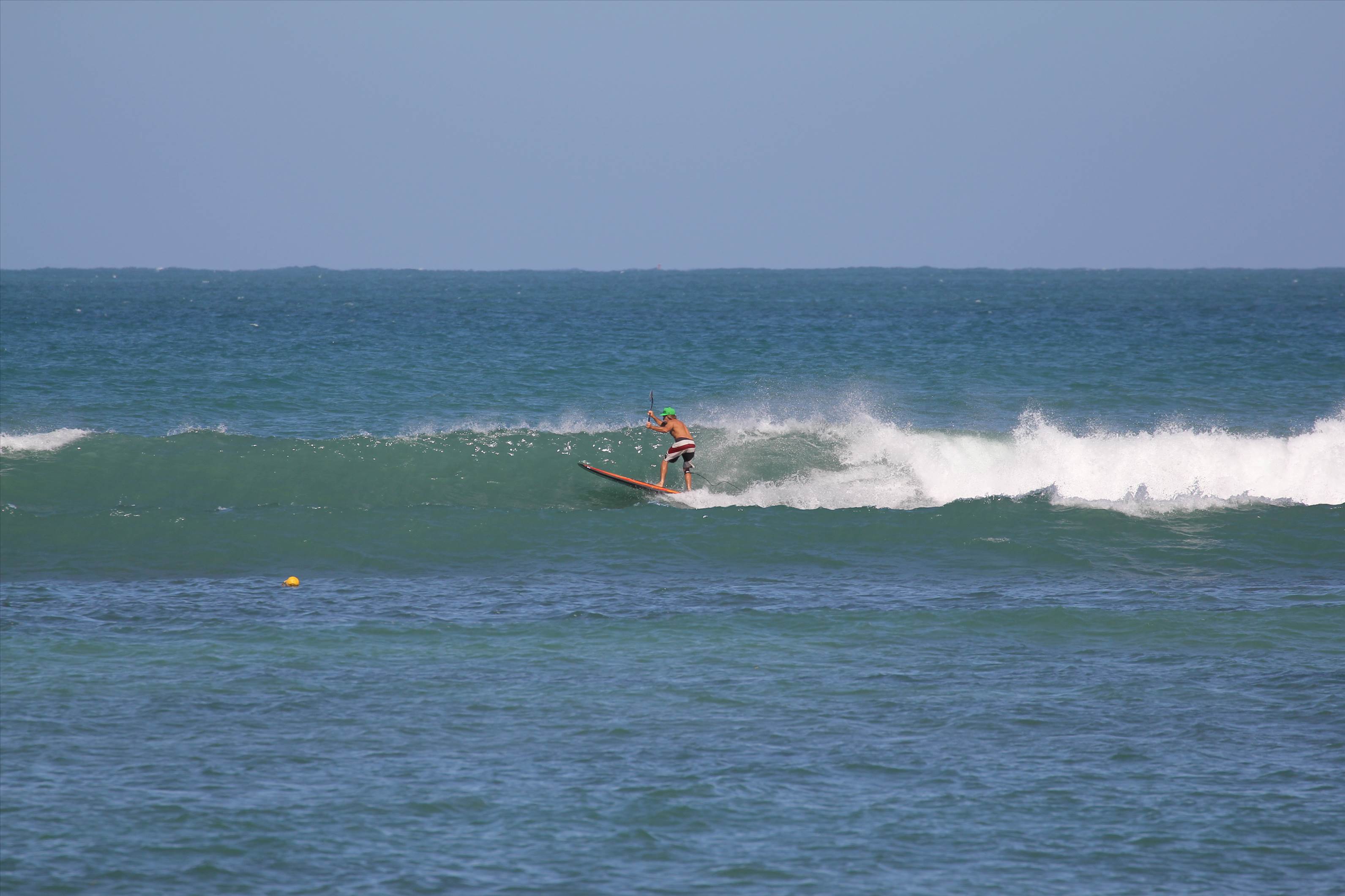 Radical rasta radman   CoopersPale ale please