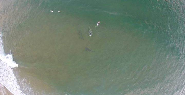 10422154 10152742568011952 3218088795924477697 n