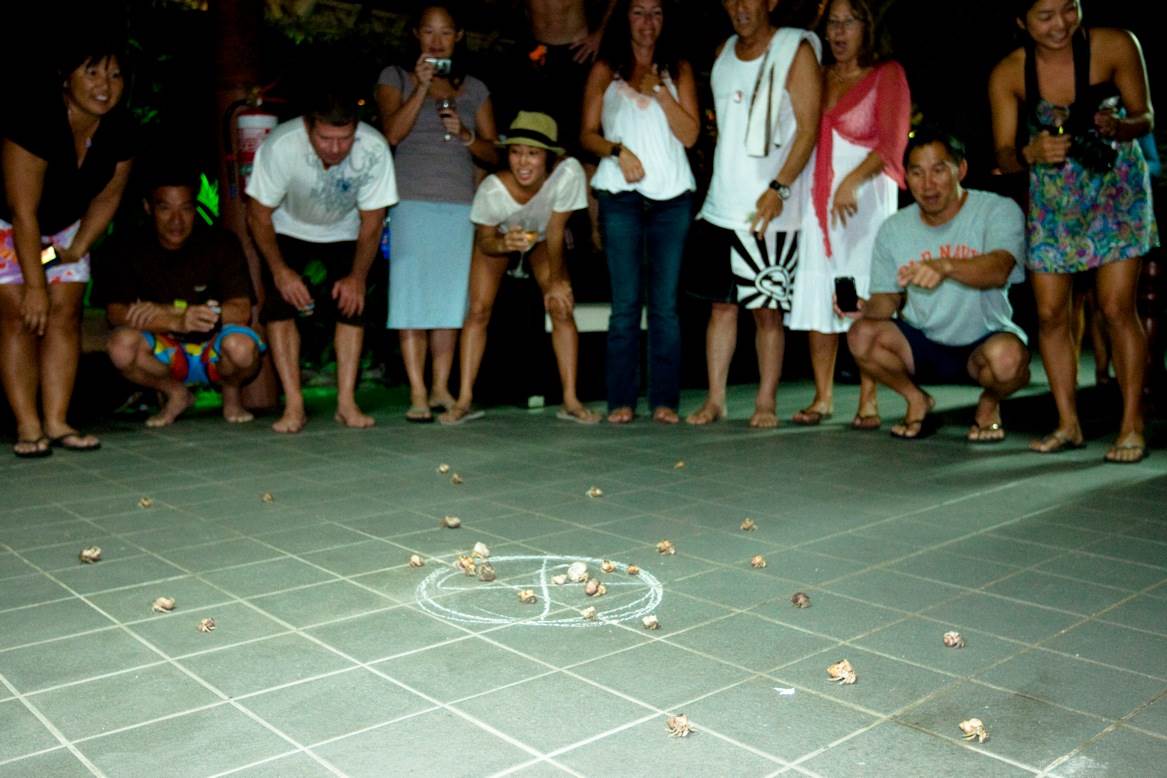 57. Hermit Crab Racing