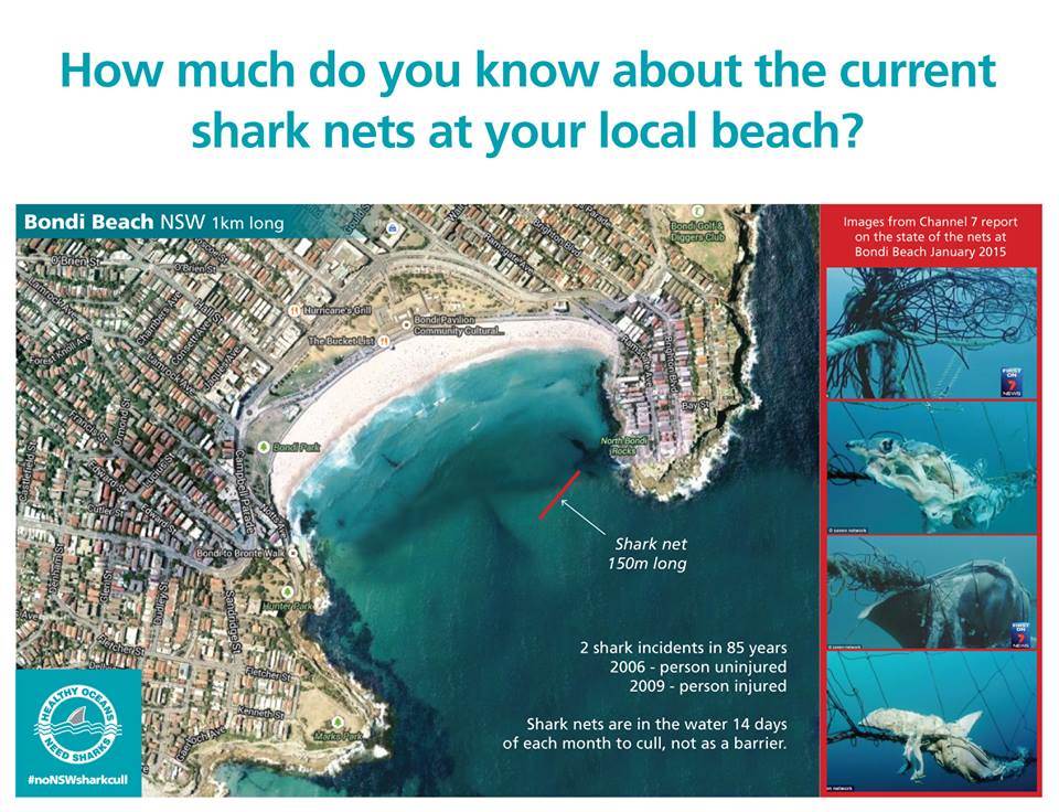 10891455 333089413558473 3825633012541178563 n