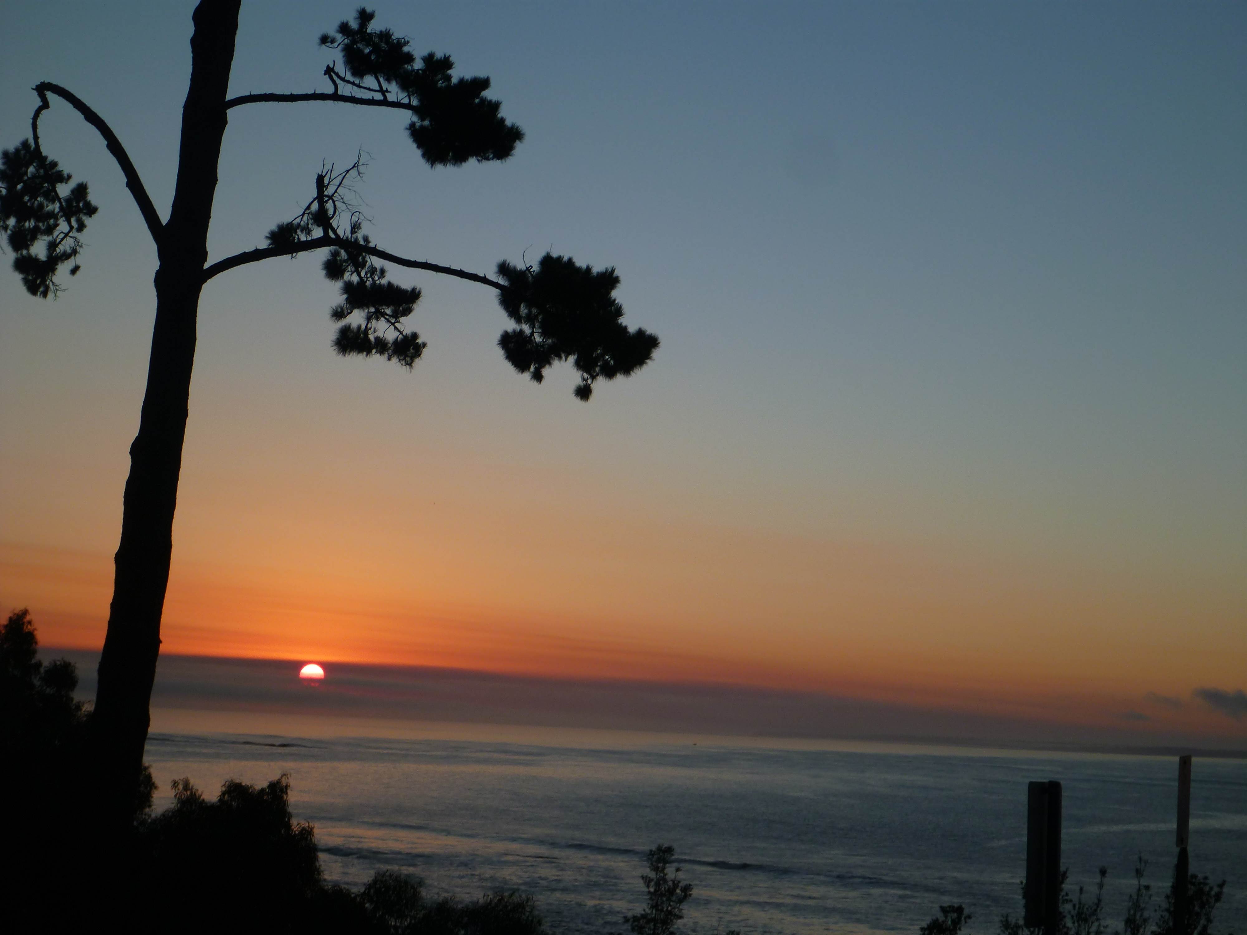 Western Port's finest