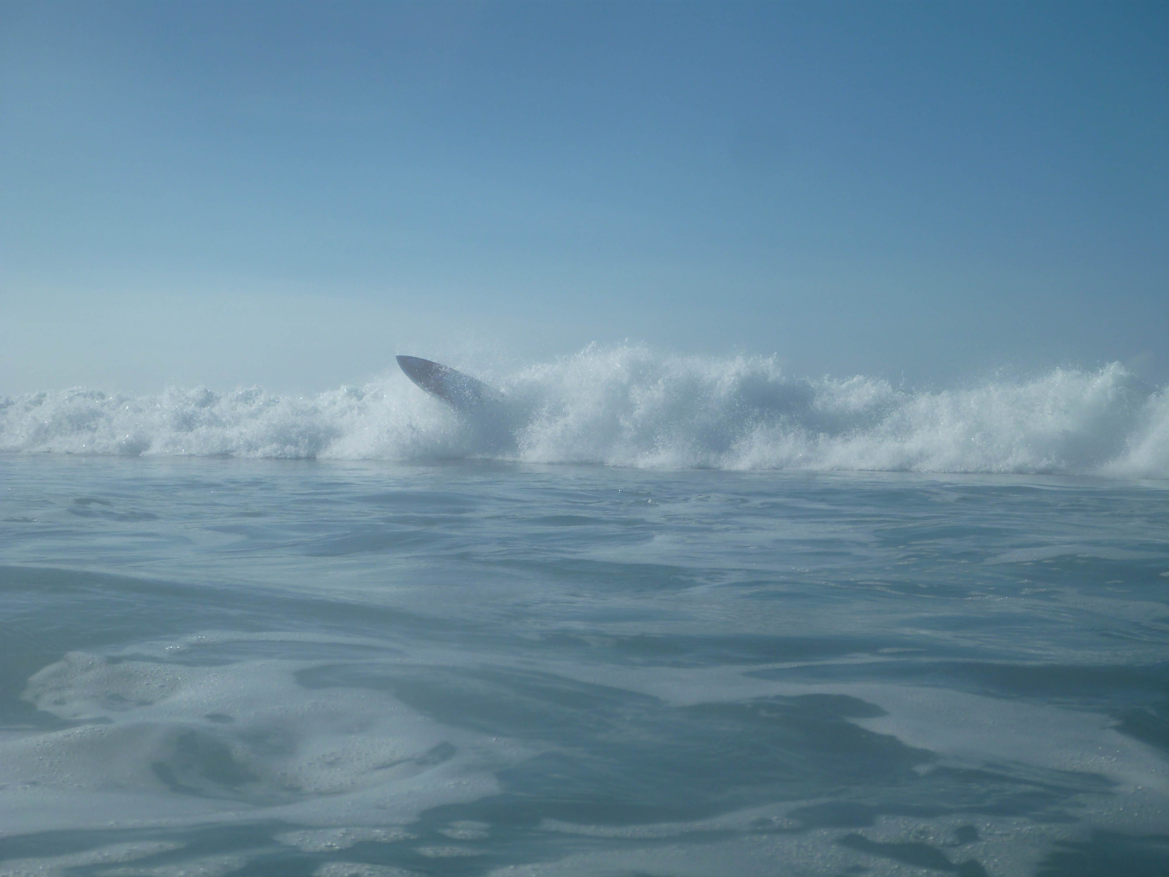 Western Port's finest