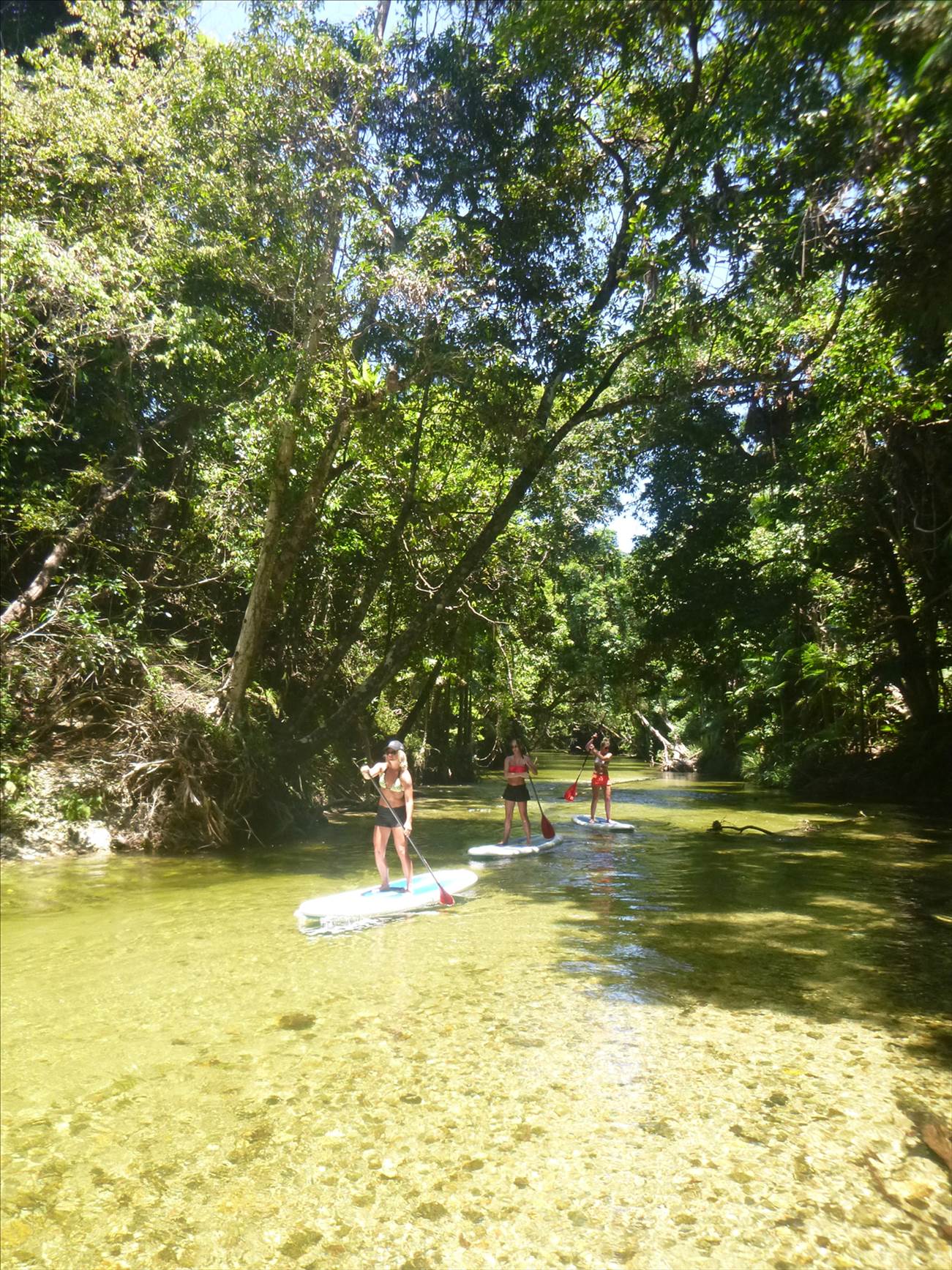 WindSwell River SUP