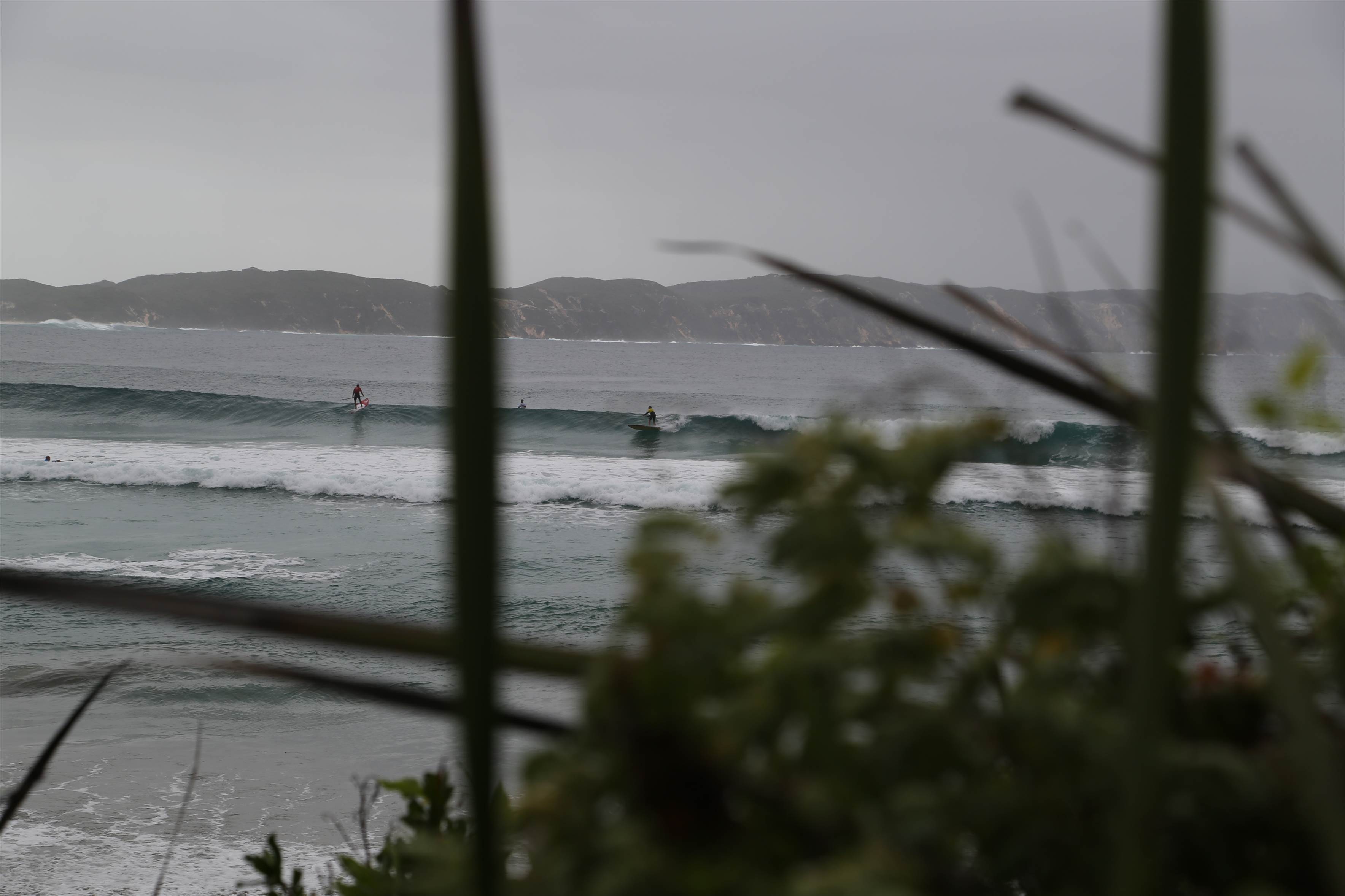 Denmark WA State round