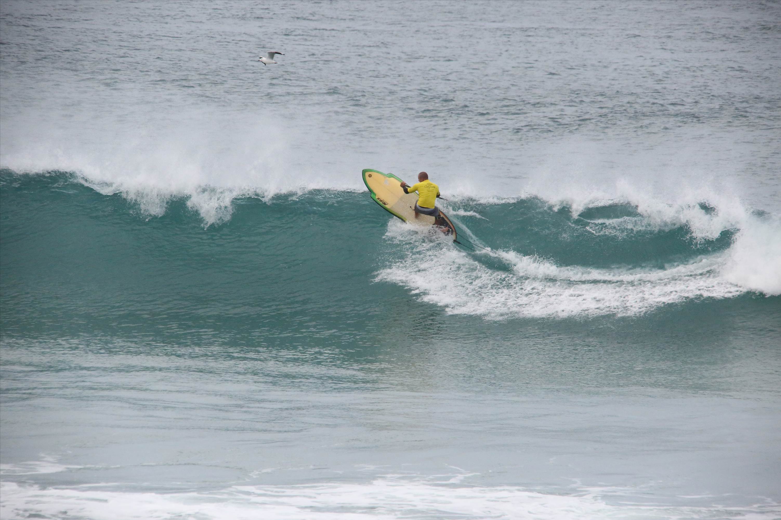 Denmark WA State round