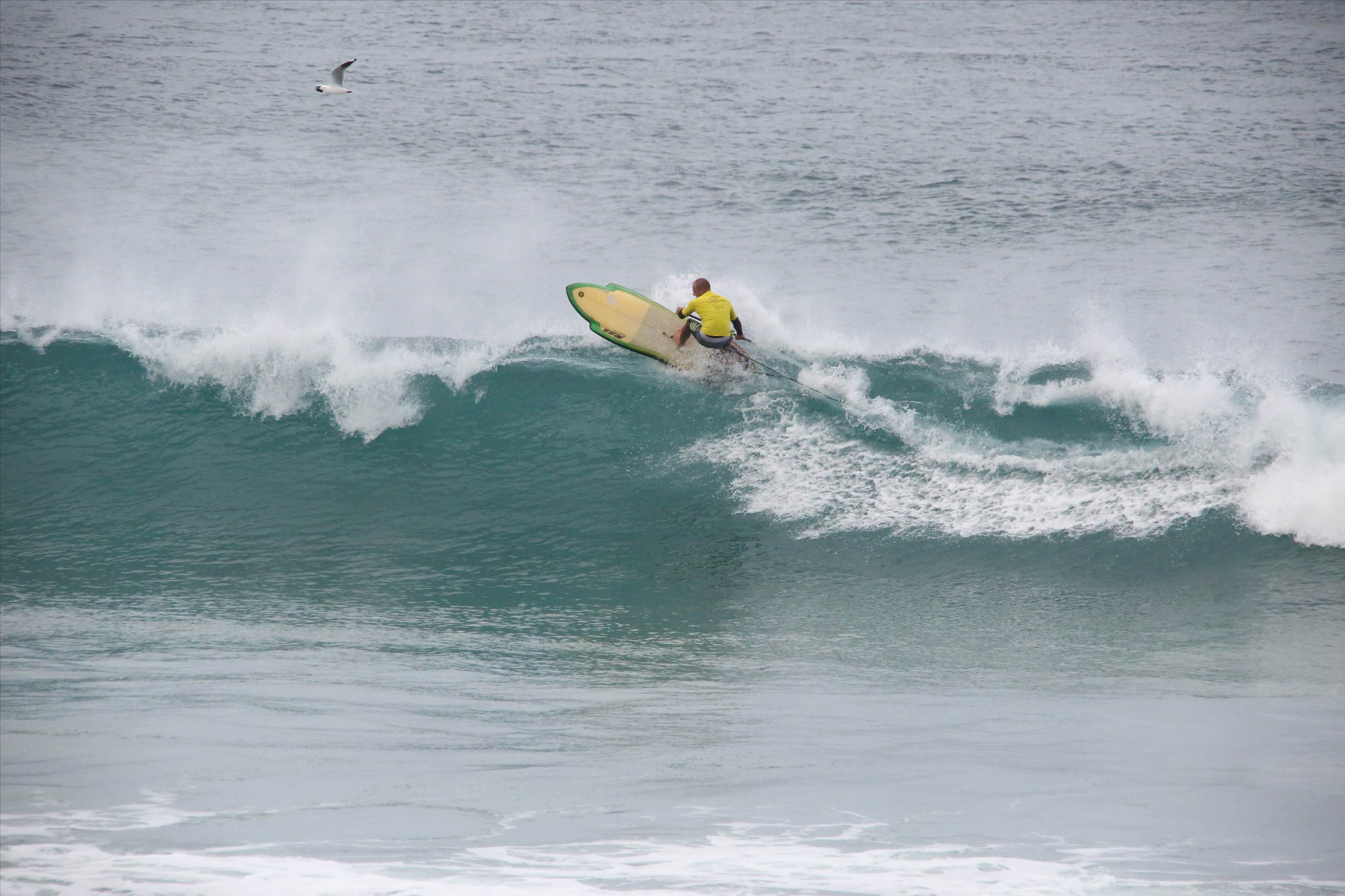 Denmark WA State round