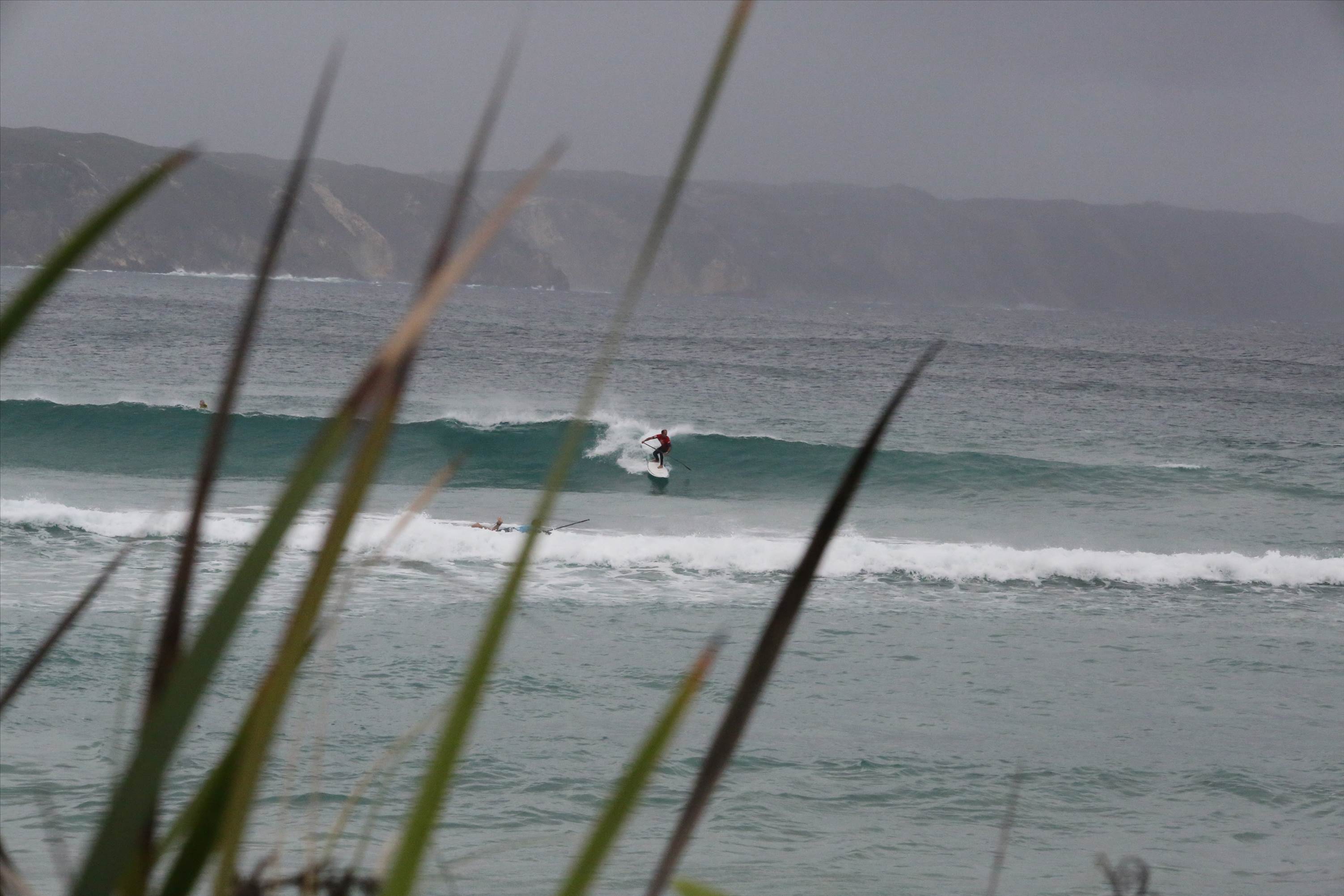 Denmark WA State round