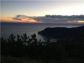 12002903 482815001901395 6563970927873959534 n