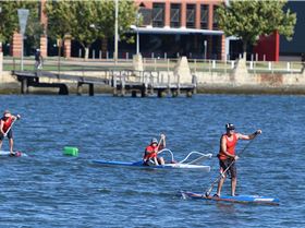 10904645 1554029074838416 5688478655464986719 o