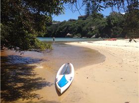 Uber downwinder inlet