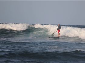 Stand Up Paddle