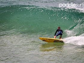 1915850 10154312537092119 1785054803695515514 n-1