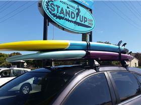 12112878 10156145581780788 1350023078 o