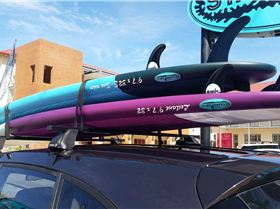 12164511 10156145581575788 243023983 o